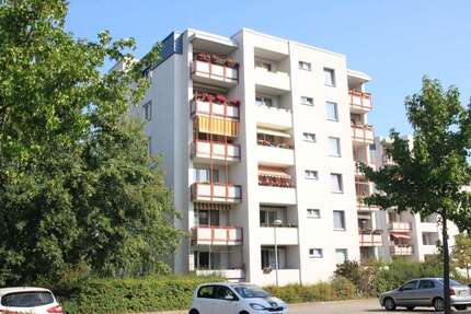Wohnung zum Mieten in Cottbus 470,00 € 62 m²
