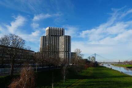 Wohnung zum Mieten in Mannheim 490,00 € 37 m²