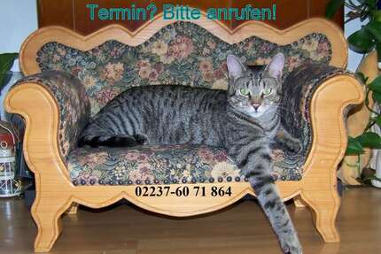 Grundstück zu verkaufen in Kerpen 197.000,00 € 522 m²