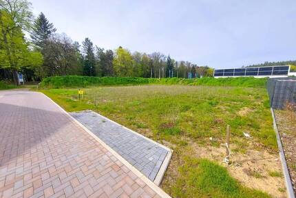 großzügiges Baugrundstück fußläufig vom Glambecker See entfernt - Neustrelitz