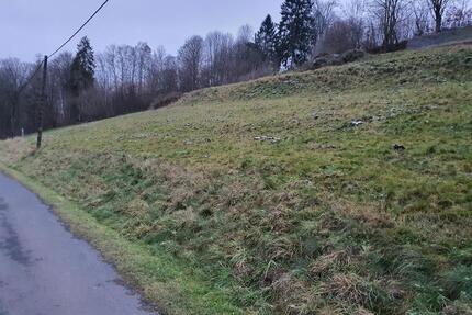 Grundstück 5.000 m² in sonniger Lage Stadtrand von Schmalkalden