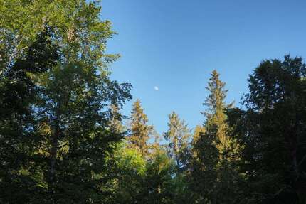 Grundstück in Schliersee 180.000,00 € 40850 m²
