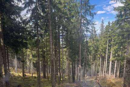 Grundstück in Saulgrub 199.000,00 € 81134 m²