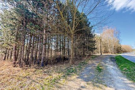 AUKTION: 1,2 ha Wald- und Unlandflächen - Lohsa