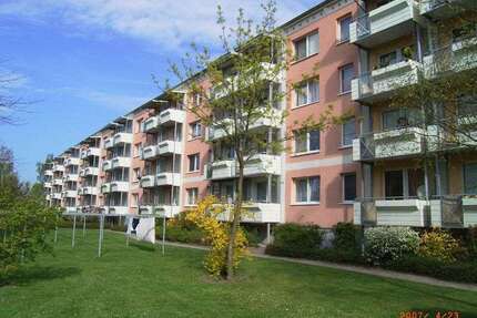 Wohnung zum Mieten in Greifswald 520,00 € 48 m²
