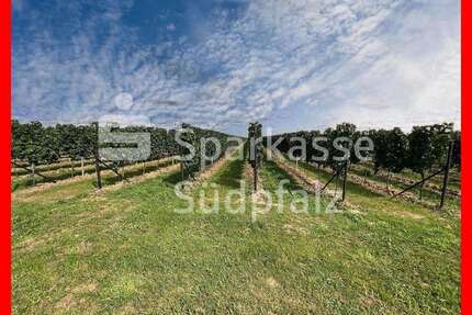 Grundstück in Birkweiler 345.000,00 € 43129 m²