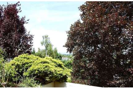 Wohnung zum Kaufen in Dreieich 449.000,00 € 118 m²