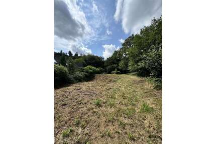 Grundstück zu verkaufen in Fischbachtal 199.000,00 € 1362 m²