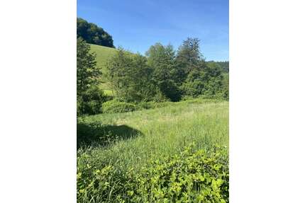 Grundstück zu verkaufen in Gorxheimertal 199.500,00 € 632 m²