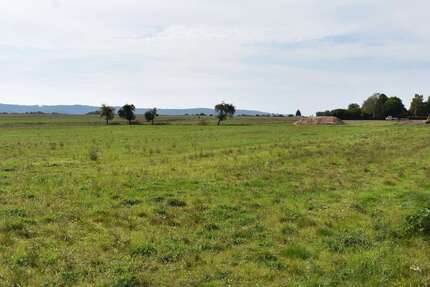 Grundstück zu verkaufen in Wildeck 54.312,00 € 744 m²