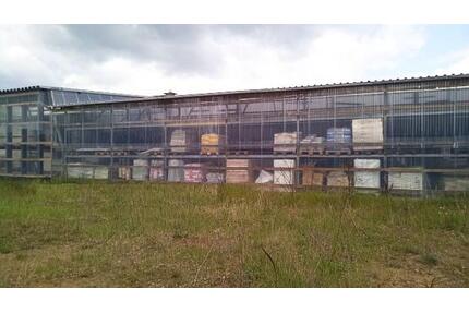 BAUMARKT GEWERBEGRUNDSTÜCK 6.643 qm VERKAUFS- LAGERHALLE BAUPLATZ - Grabow