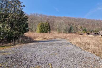 Grundstück zu verkaufen in Bad Gottleuba- Bergießhübel 137.475,00 € 705 m²