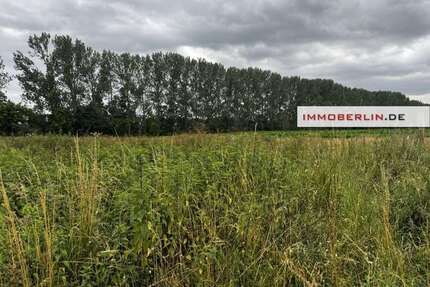 Grundstück in Liebenwalde 160.000,00 € 53000 m²