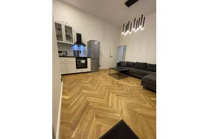 Wohnung zum Mieten in Berlin 1.250,00 € 45 m²