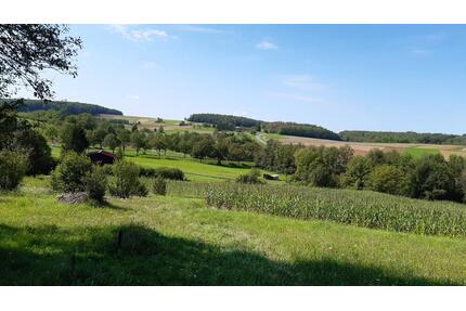 Stückle Wiese Freizeitrundstück Grundstück - Großbettlingen