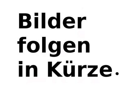 4ZKB DHH, möbliert, 140m2, Pool, PV, Klimaanlage - Linkenheim-Hochstetten