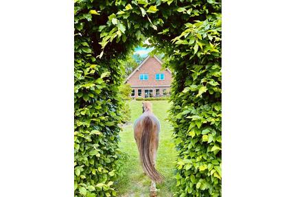 Hochwertiges Architektenhaus in Toplage von Lengerich