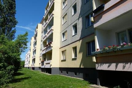 4-Raum-Wohnung in Gatersleben. Für Sie frisch renoviert! - Seeland