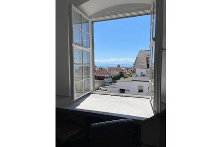 Moderne und frisch renovierte Wohnung im Schussenrieder Hof - Meersburg