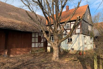 Resthof mit 1000m2 Grundstück – Sanierungsobjekt mit Potenzial - Rosenthal