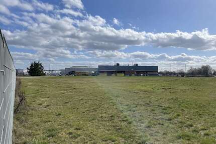 Grundstück in Philippsburg 84.000,00 € 7000 m²