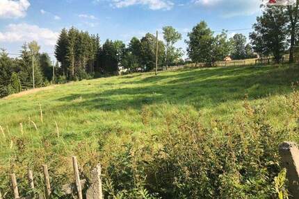 Ihr Traum vom Eigenheim - Baugrundstück in Mildenau OT Arnsfeld!