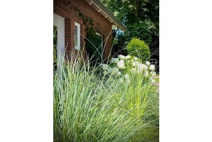 bezaubernde Ferienwohnung in Greetsiel - Last Minute möglich - Krummhörn