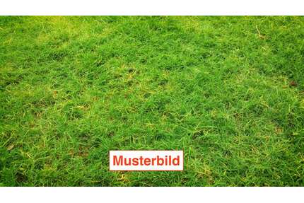 Grundstück zu verkaufen in Mutterstadt 355.000,00 € 710 m²