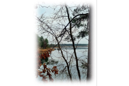 VERMIETET!!! Helle, freundliche 3 Raumwohnung im Top Zustand zu vermieten - Pasewalk