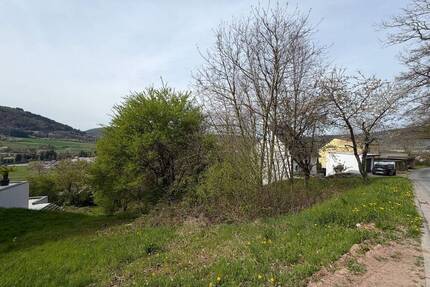Exklusives Baugrundstück in Miltenberg - Ideal für Ihr Traumhaus