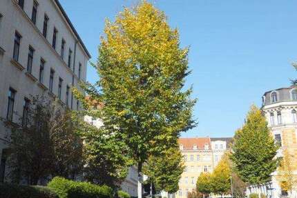 Wohnung zum Kaufen in Leipzig 399.000,00 € 104.16 m²