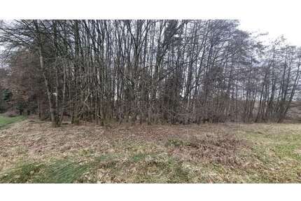 Grundstück in Windorf 26.160,00 € 4360 m²