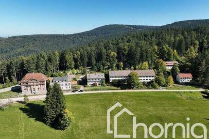 Gebäudeensemble in Alleinlage - ideal für Wohnen - Touristik - Erlebnisdorf - Sasbachwalden