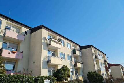 Wohnung zum Mieten in Bad Bergzabern 540,00 € 54 m²