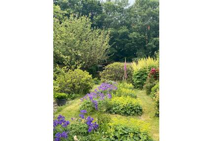 Schrebergarten Kleingarten Kiel Kronshagen Bodenplatte & Kamin