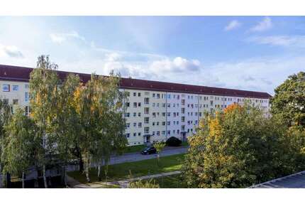 Wohnung zum Mieten in Pirna 422,40 € 64 m²