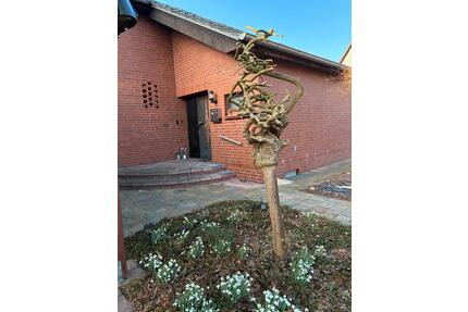 Frisch renoviertes Einfamilienhaus in ruhiger Lage - Burgwedel