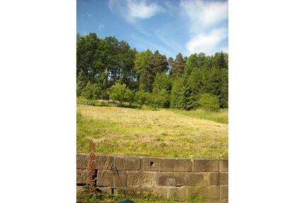 Verpachtung Wiese, Freizeitstückle in FichtenbergSHA - Adelsheim