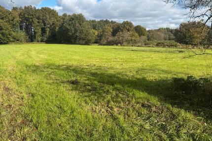 Landwirtschaftliche Fläche GrünlandNaturschutzgebiet Brünen - Wesel Fusternberg