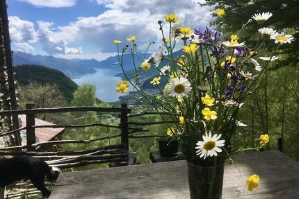 Berghütte mit tollem Blick auf den Comer See - Villa Lupinia - Sinn