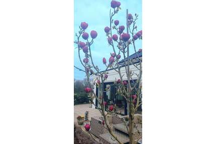 Haus zum Kaufen in Moers 1.750.000,00 € 267 m²