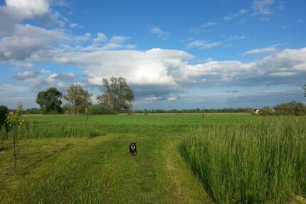 Gartengrundstück mit Strom Wasser eigene Auffahrt - Neuenhagen bei Berlin