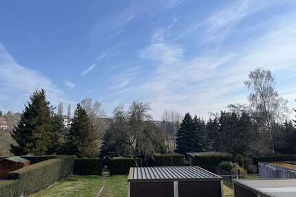 Wohnung zum Mieten in Chemnitz 325,00 € 55 m²