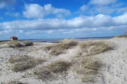 Ferienwohnung HooksielNordseeHund willkommenStrandkorb - Wangerland