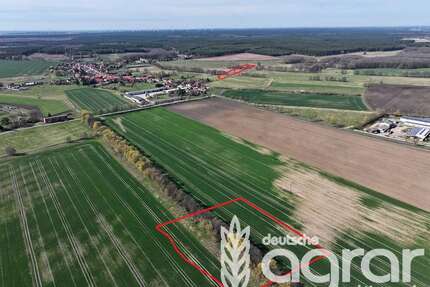 Grundstück in Treuenbrietzen Bardenitz 20.900,00 € 21016 m² - Treuenbrietzen / Bardenitz