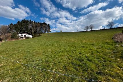 Panoramagrundstück voll erschlossen, teilbar - Waxweiler