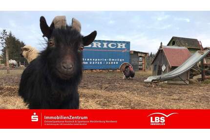 Bauernhof mit vielseitiger Nutzung - Kröpelin Altenhagen