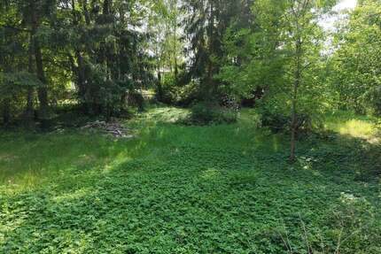 Grundstück zu verkaufen in Wandlitz 415.000,00 € 2465 m²
