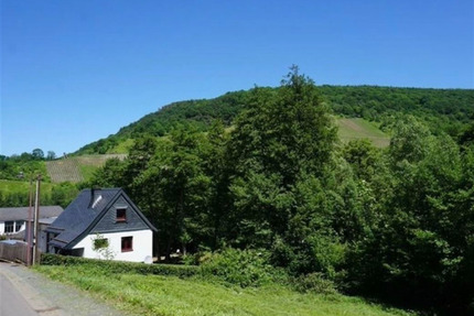 Grundstück zu verkaufen in Traben-Trarbach 59.999,00 € 759 m²