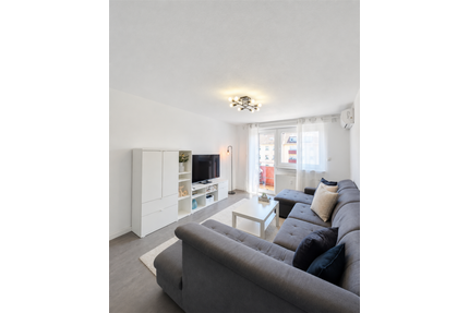 Wohnung zum Kaufen in Mannheim 236.000,00 € 55 m²
